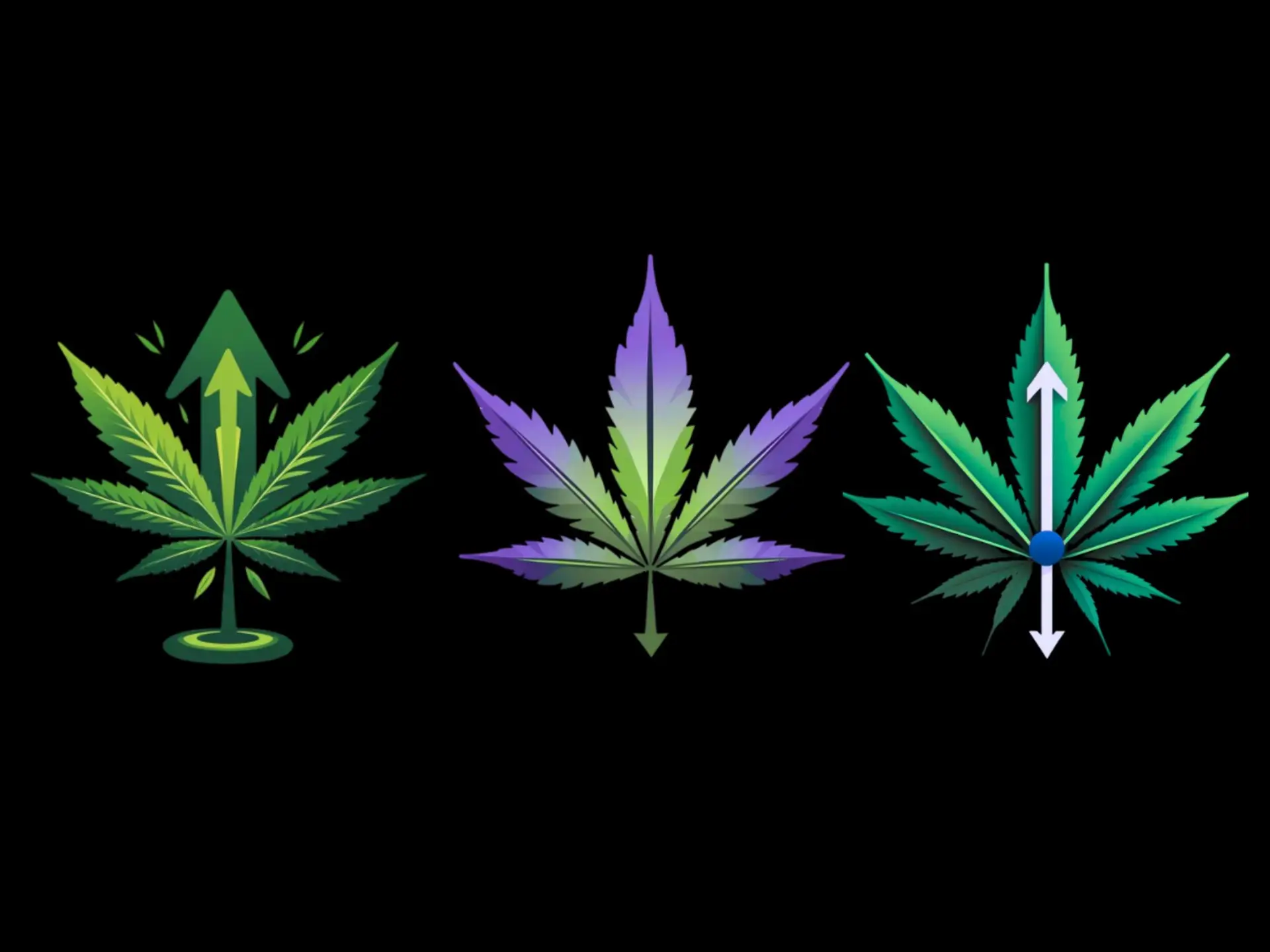 Sativa vs Indica vs Hybrid