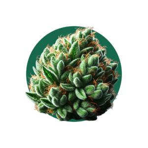 Cannabis flower product category