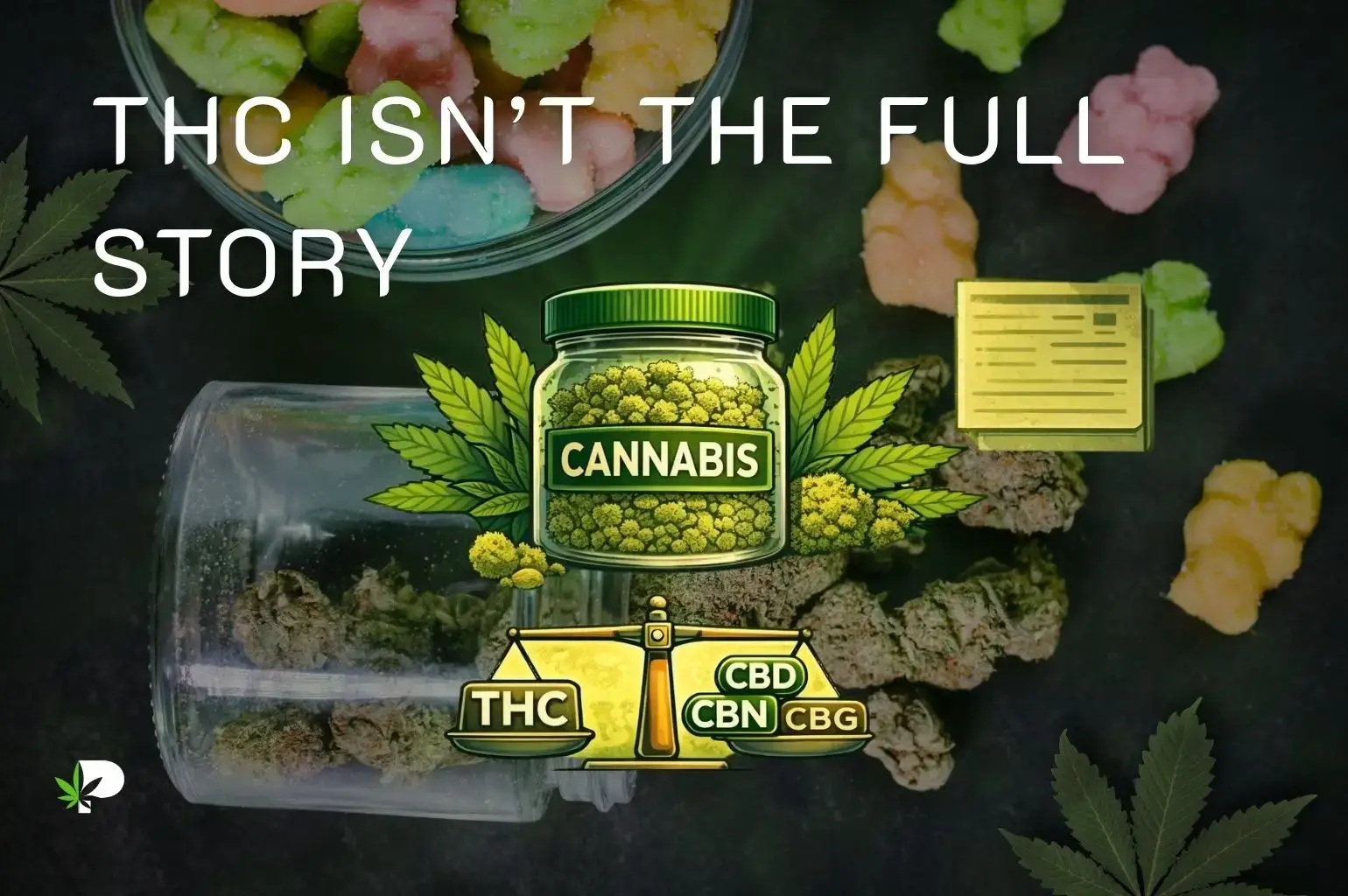 Minor cannabinoids guide comparing THC with CBD, CBN, and CBG
